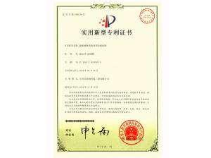 Patent certificate 6